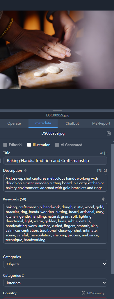 Metadata panel
